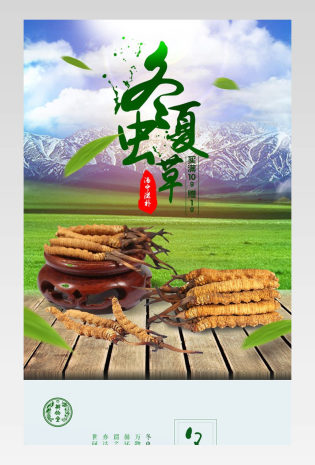 清新冬虫夏草详情页产品描述页通用 