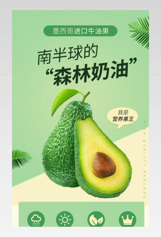 简约风格进口牛油果新鲜水果详情页