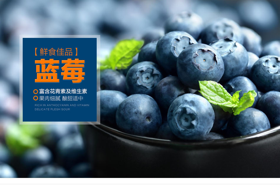 水果蓝莓详情页