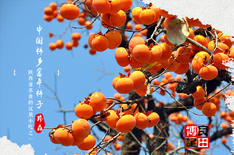 博记良田陕西富平降霜柿饼详情页