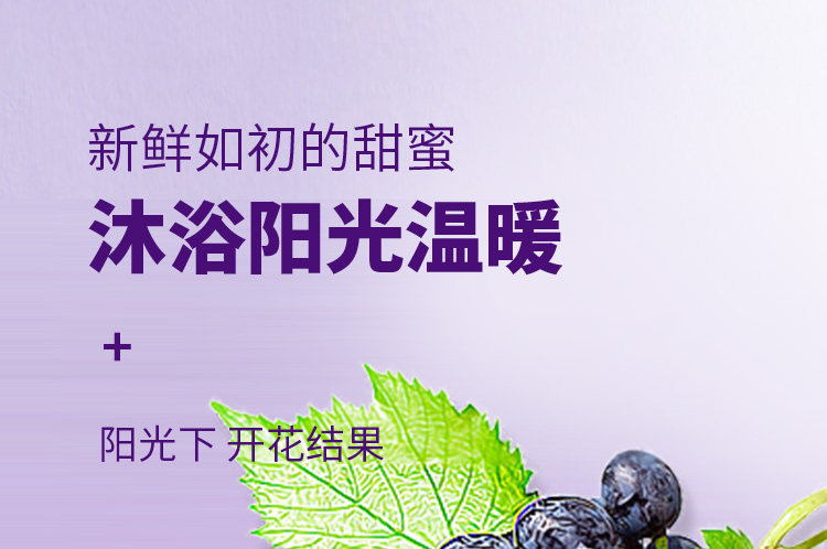日常通用简约新鲜水果葡萄详情描述页面